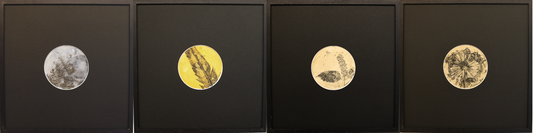 Unveiling Nature's Secrets: The 'Rún' Series