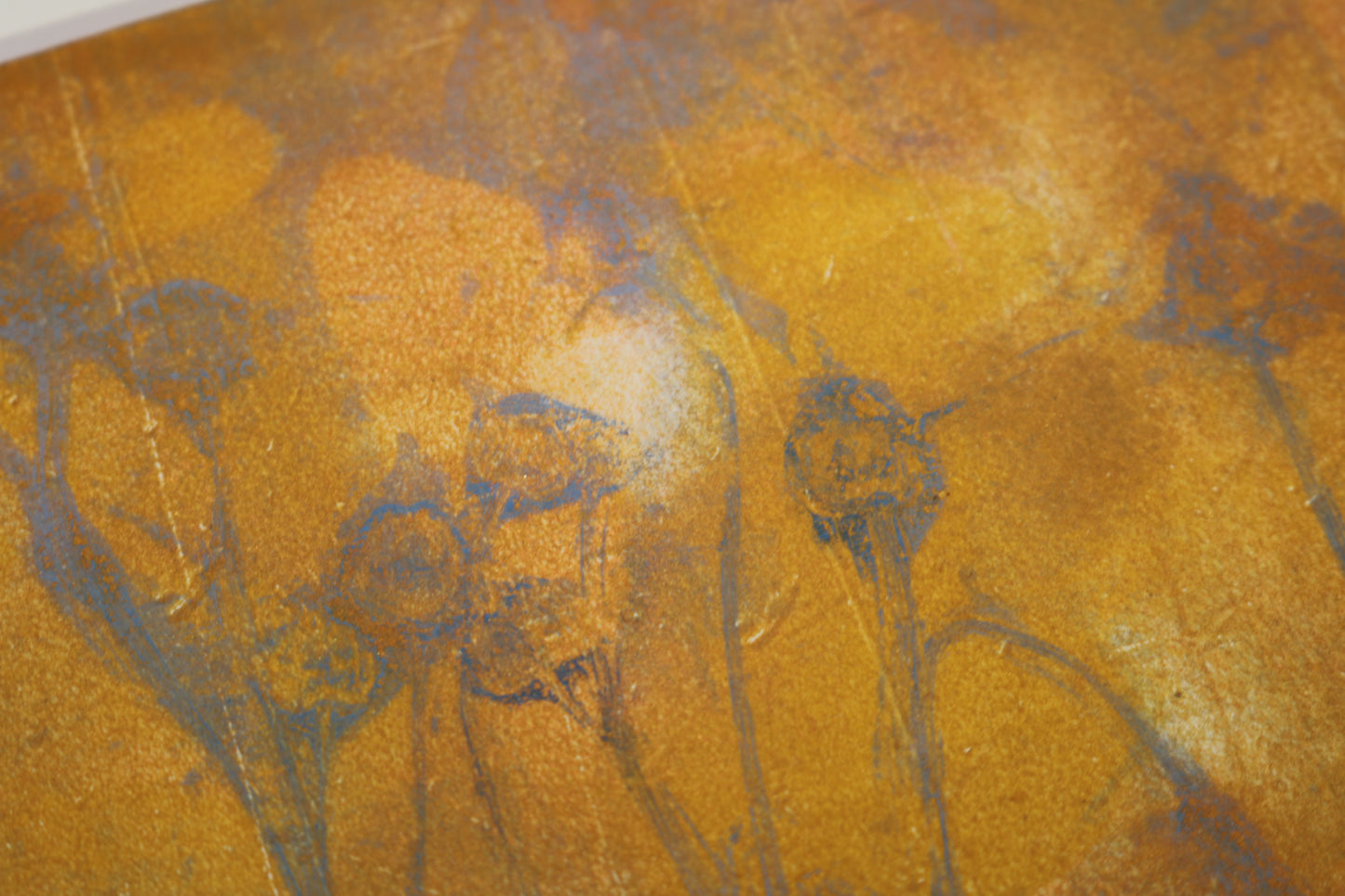 'Summer's Boundary'