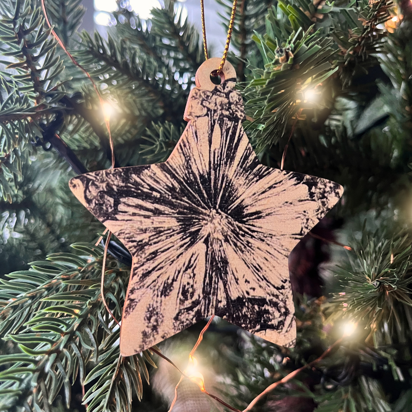 'Set of Four' Botanical Wooden Decorations